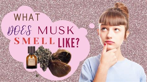 what does musk smell like in perfume.